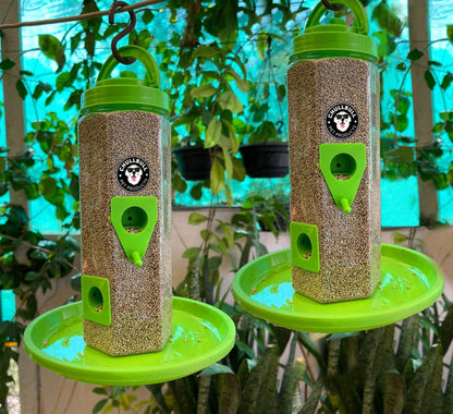 PetNest 6 पोर्ट वाला सभी पक्षियों के लिए बर्ड फ़ीडर (पारदर्शी)