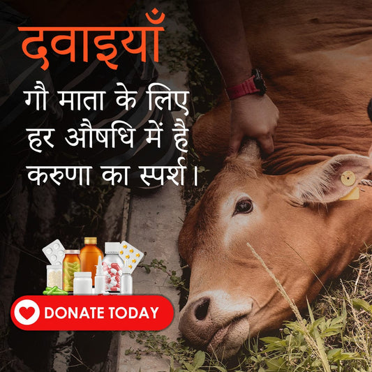 Every Cow Deserves Care, Love & Protection