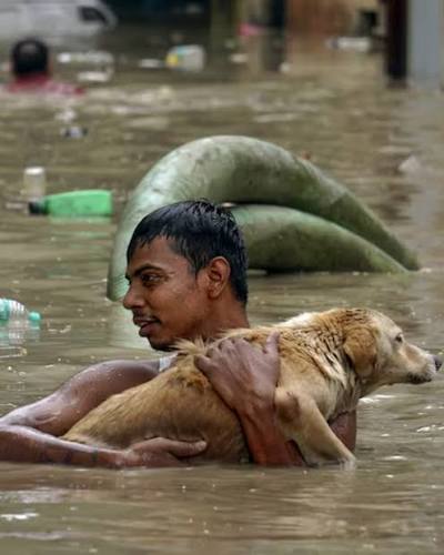 🌊 Emergency Assam Flood Relief Appeal