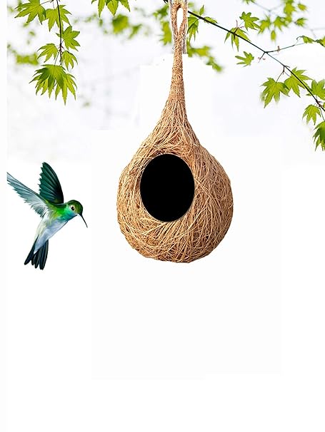 Safest Round Organic Bird nest Purely Handmade Sparrow/Small Birds, Material Type -Coir,Color -Brown, Set of 2 - (Large) -